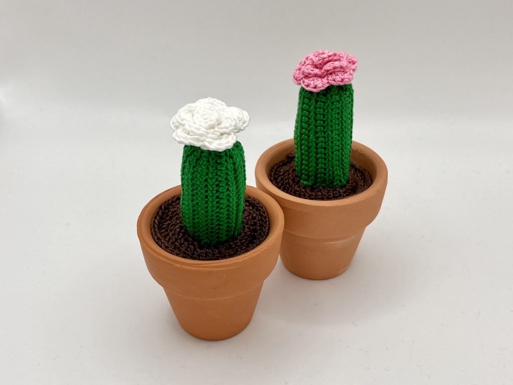 crochet flower cactus in real clay pot