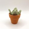 Crochet light green succulent in a real clay pot